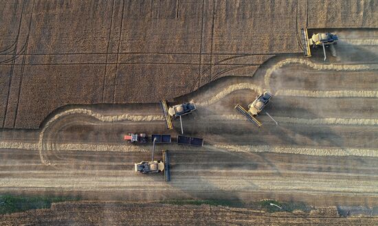 Russia Agriculture Wheat Harvesting