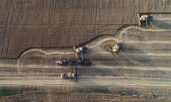 Russia Agriculture Wheat Harvesting