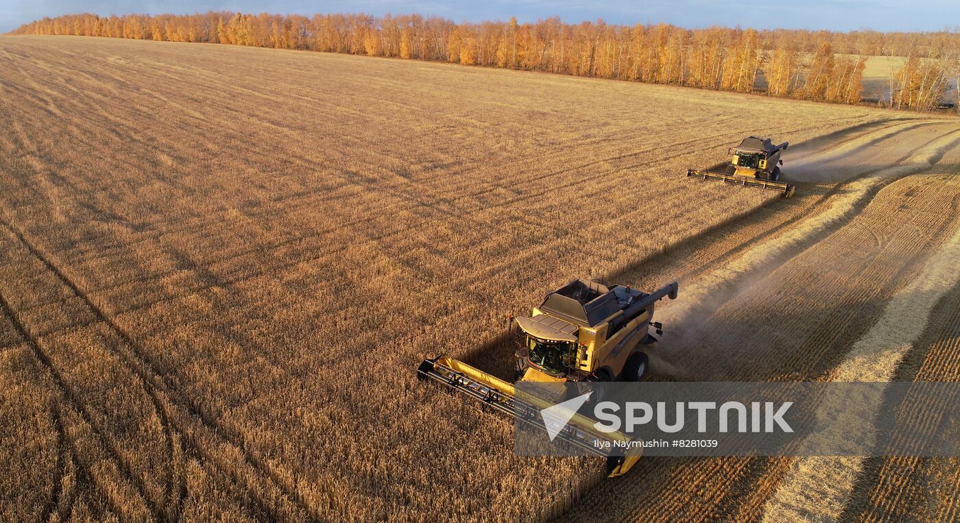 Russia Agriculture Wheat Harvesting
