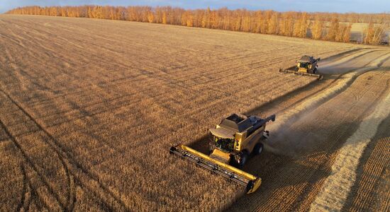 Russia Agriculture Wheat Harvesting