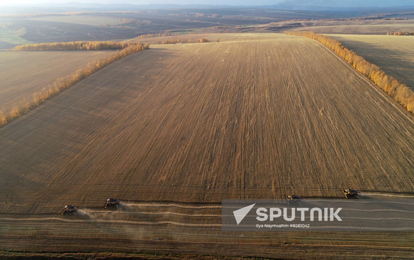 Russia Agriculture Wheat Harvesting