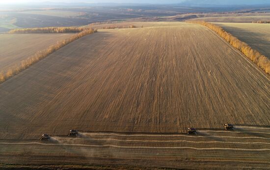 Russia Agriculture Wheat Harvesting