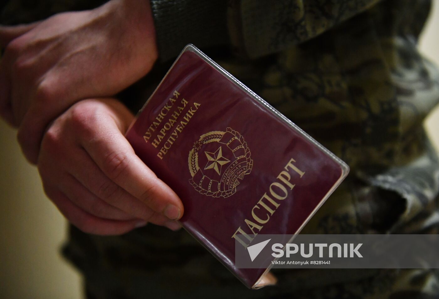 DPR LPR Russia Joining Referendum