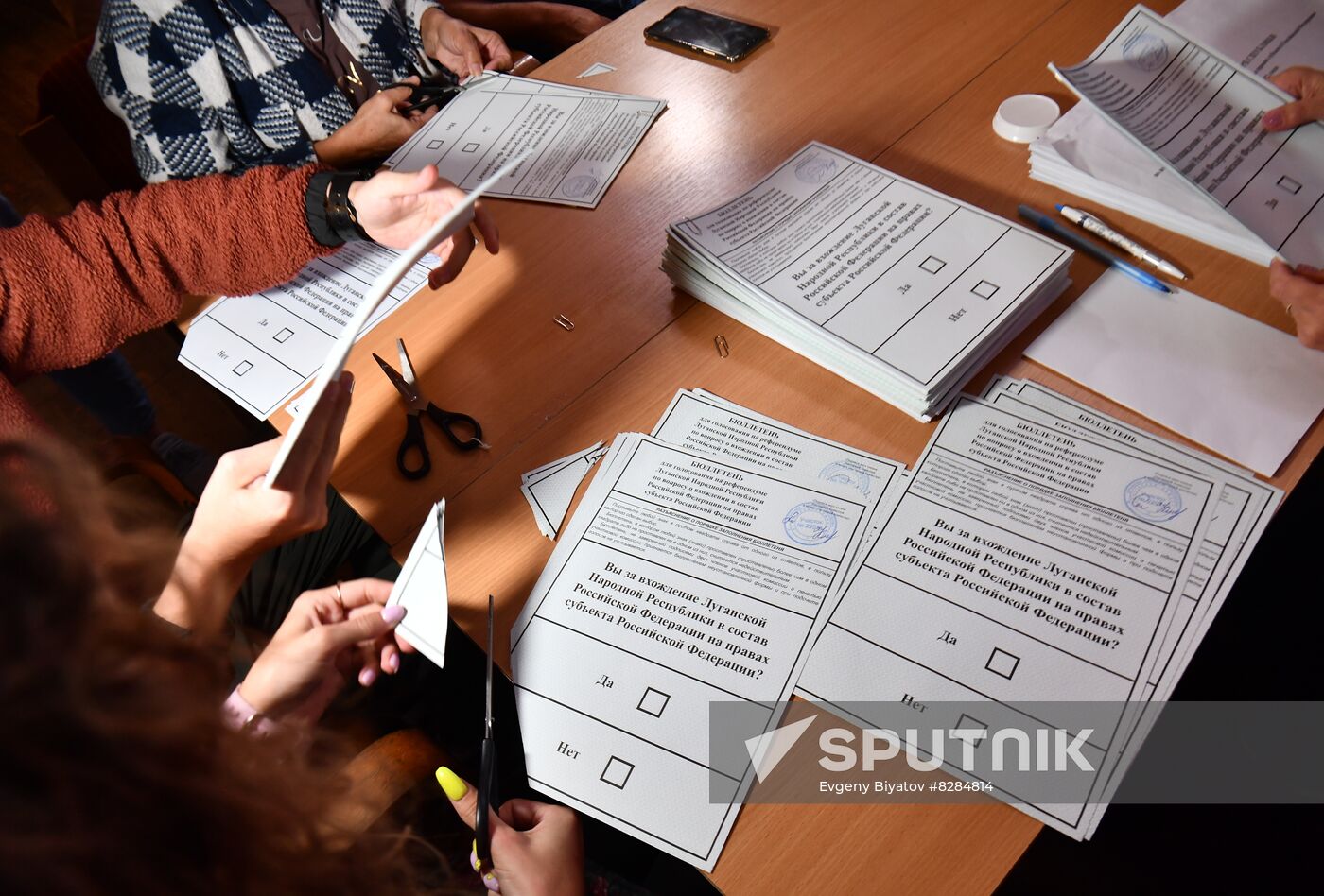Russia Joining Referendum Vote Counting