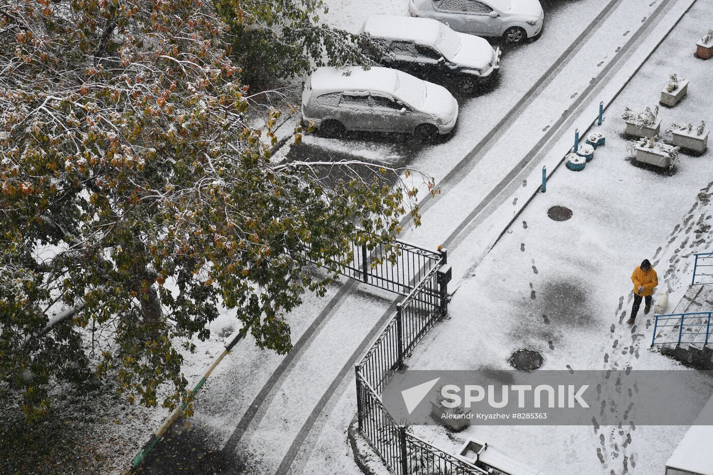 Russia Weather