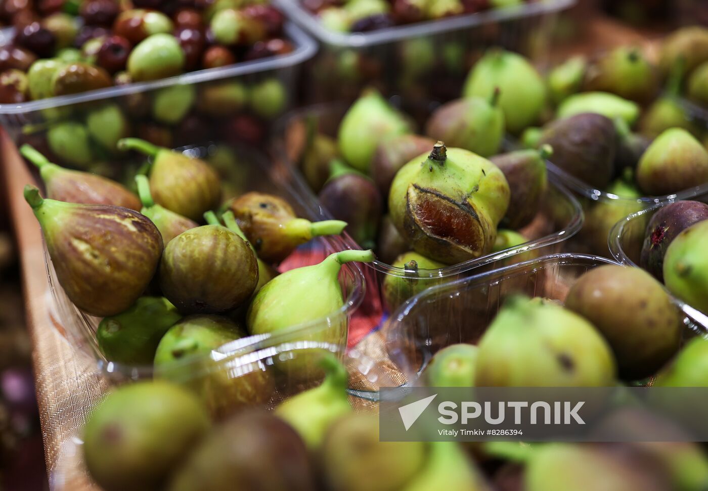 Kuban harvest fair opens in Krasnodar
