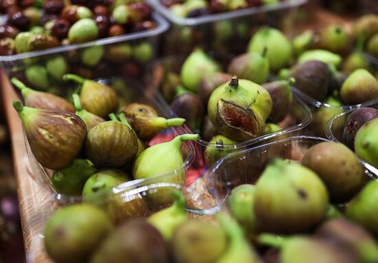 Kuban harvest fair opens in Krasnodar