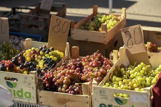 Russia Crimea Food Market