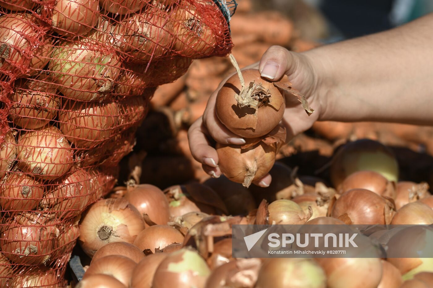 Russia Crimea Food Market