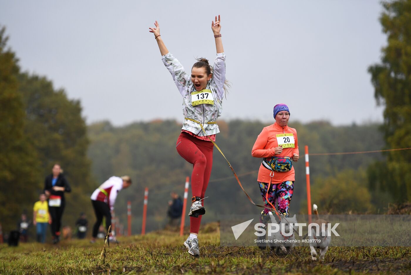 Russia Fast Dog Cross Country