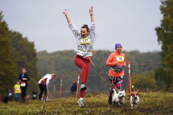 Russia Fast Dog Cross Country