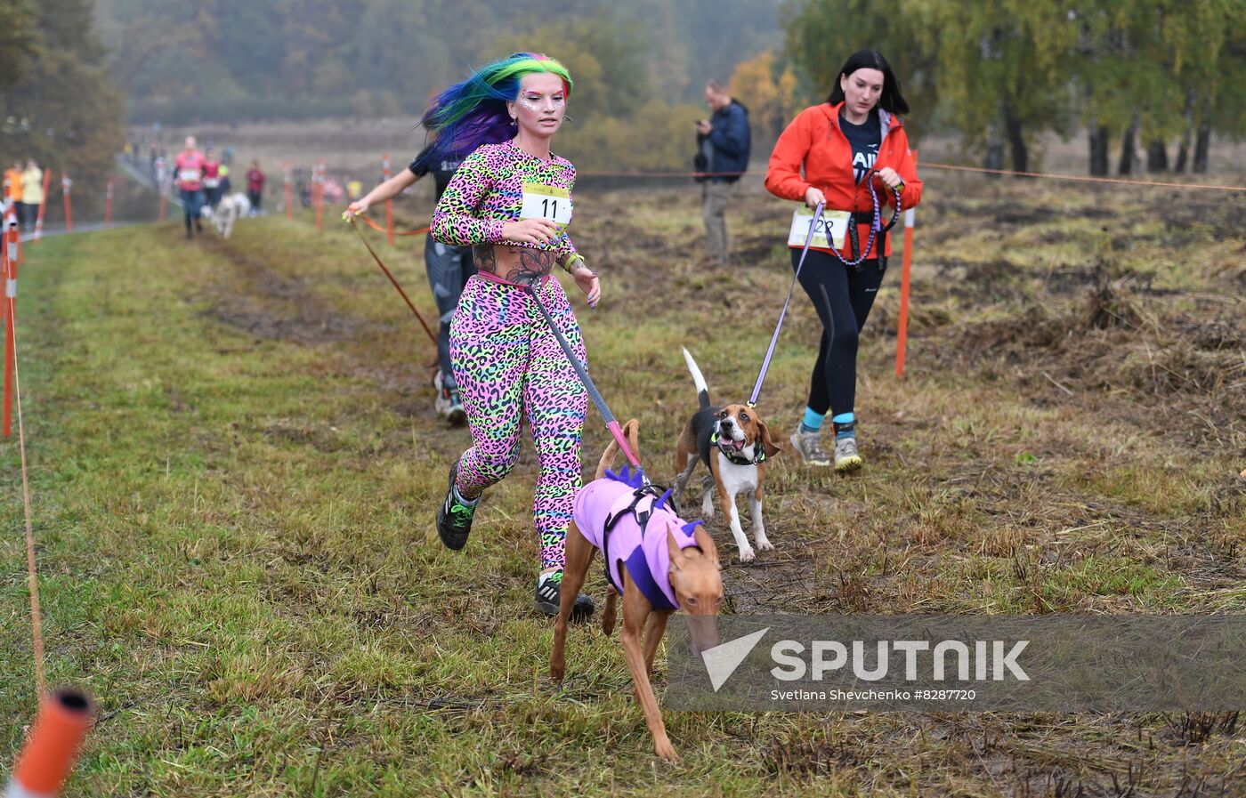 Russia Fast Dog Cross Country