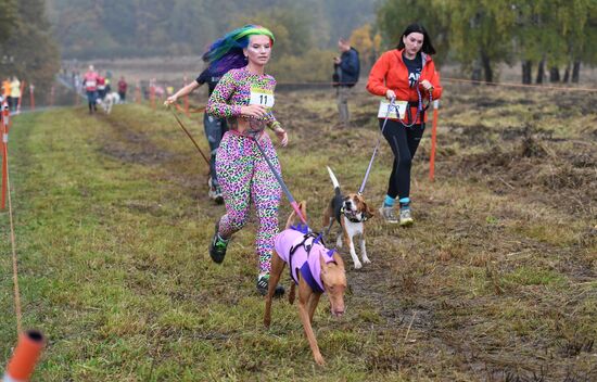 Russia Fast Dog Cross Country