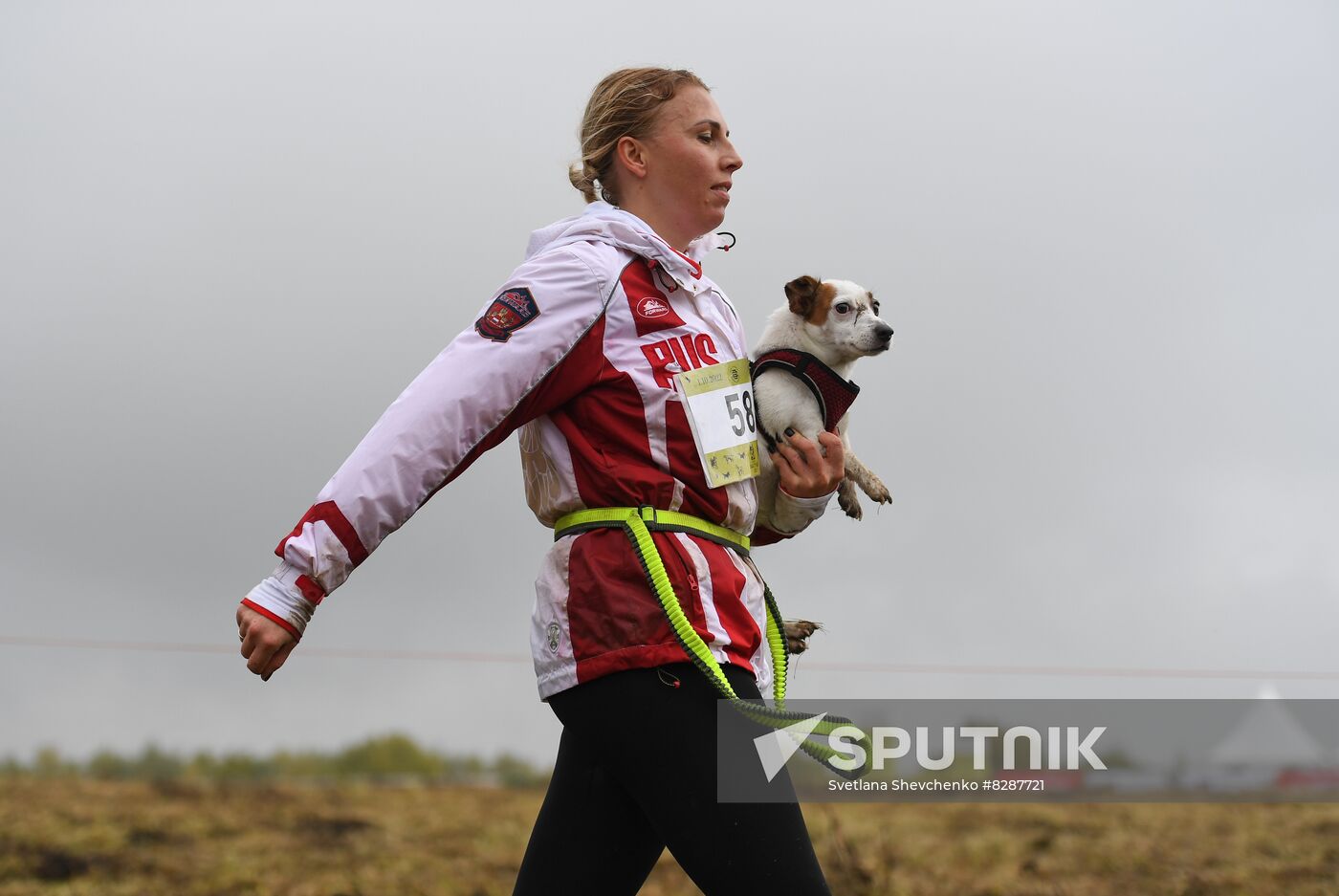 Russia Fast Dog Cross Country