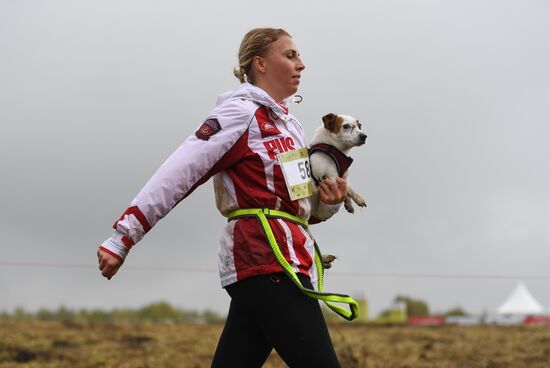 Russia Fast Dog Cross Country