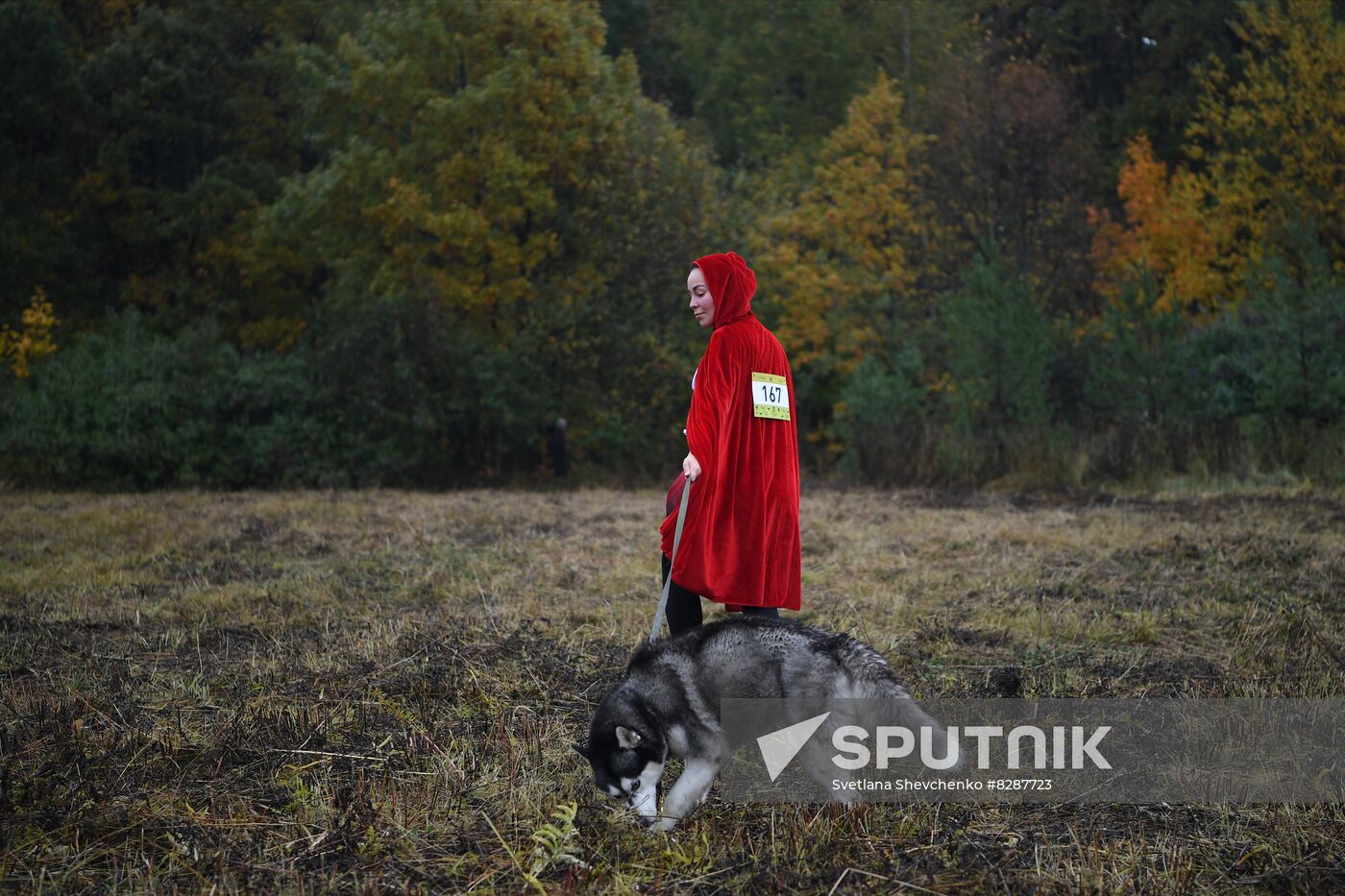 Russia Fast Dog Cross Country