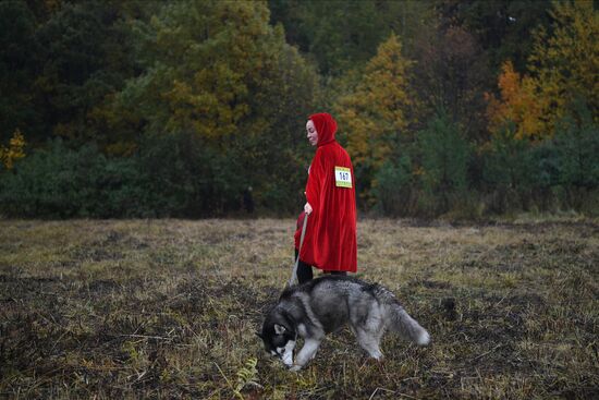 Russia Fast Dog Cross Country