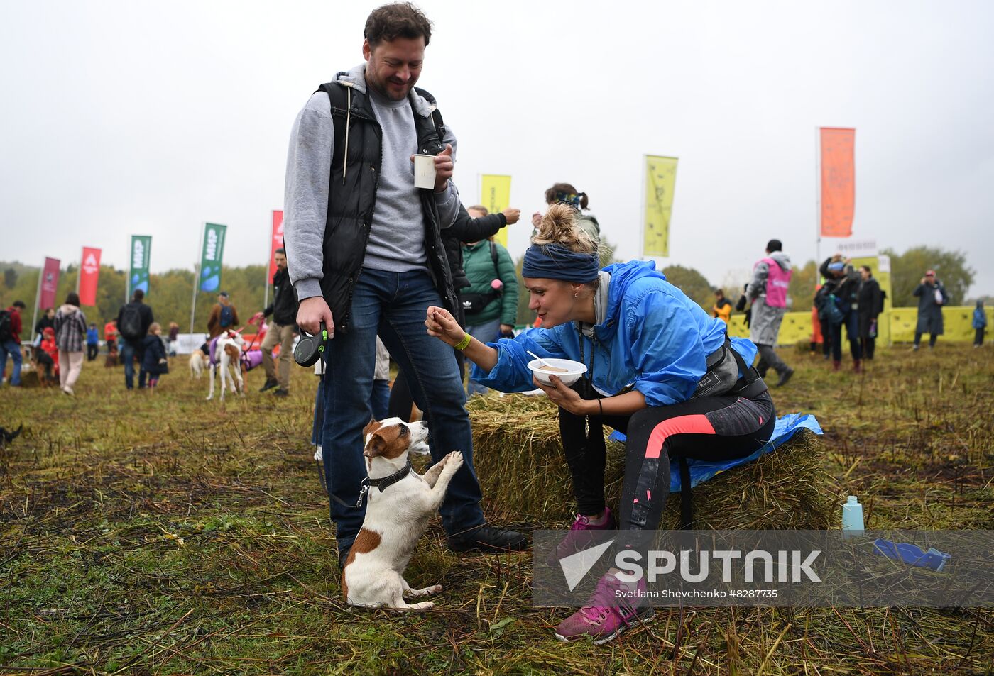 Russia Fast Dog Cross Country