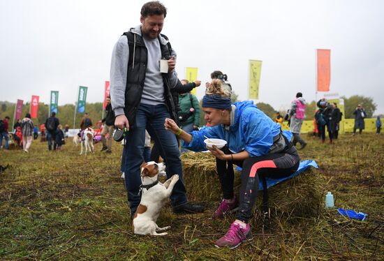 Russia Fast Dog Cross Country