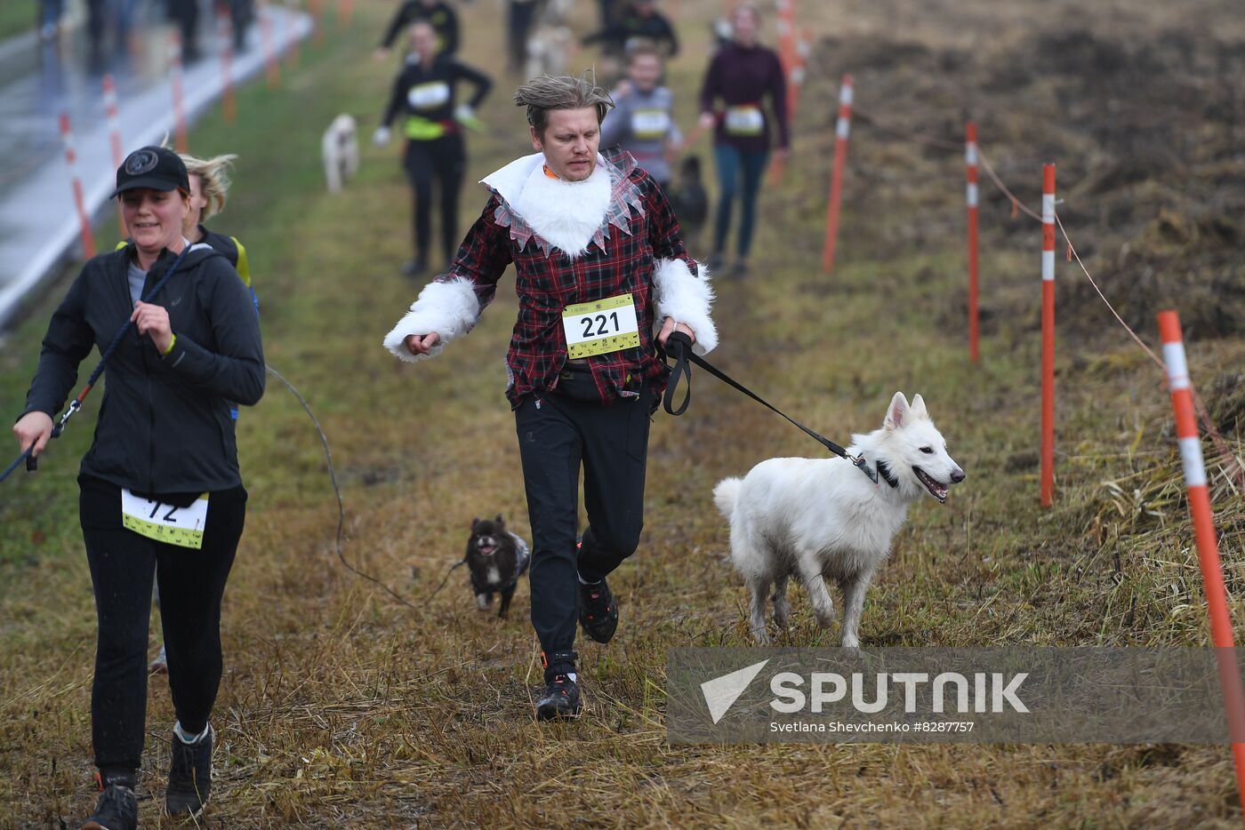 Russia Fast Dog Cross Country