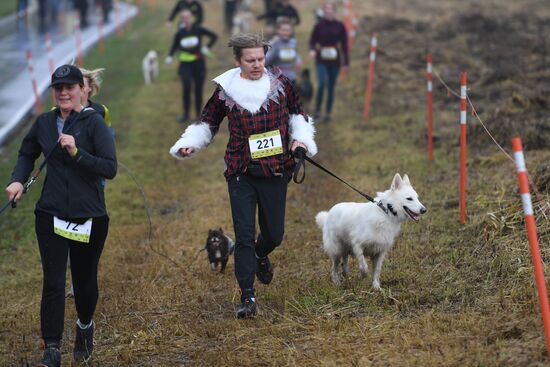 Russia Fast Dog Cross Country