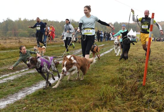 Russia Fast Dog Cross Country