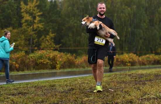 Russia Fast Dog Cross Country