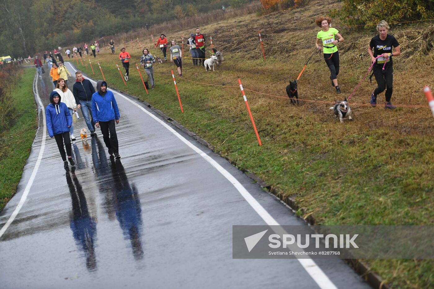 Russia Fast Dog Cross Country