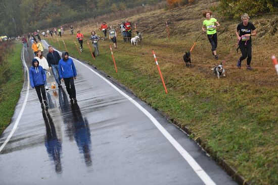 Russia Fast Dog Cross Country