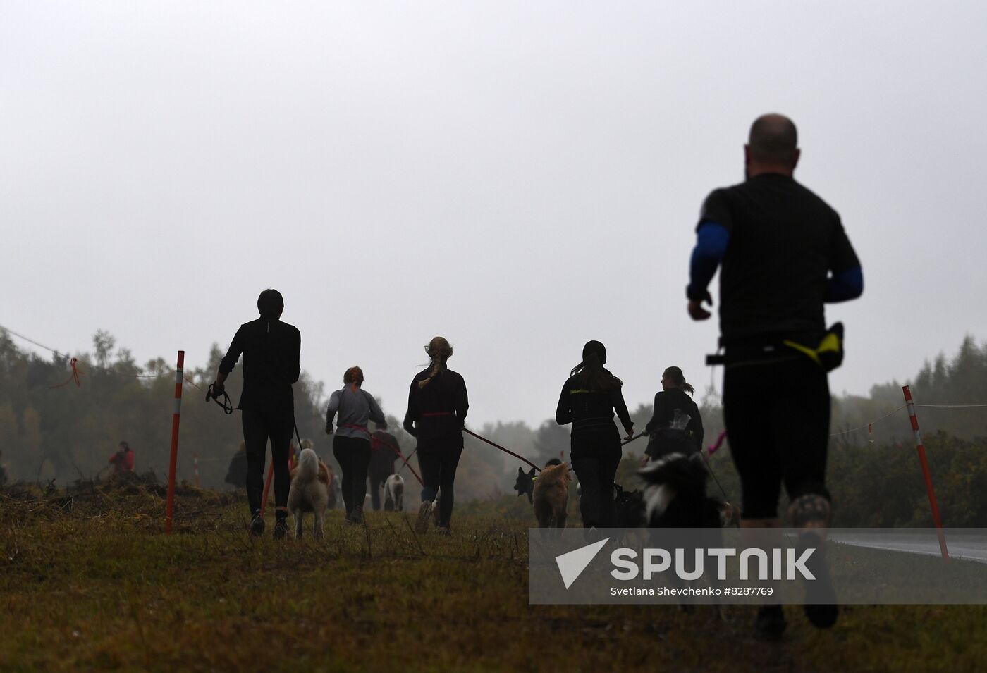 Russia Fast Dog Cross Country