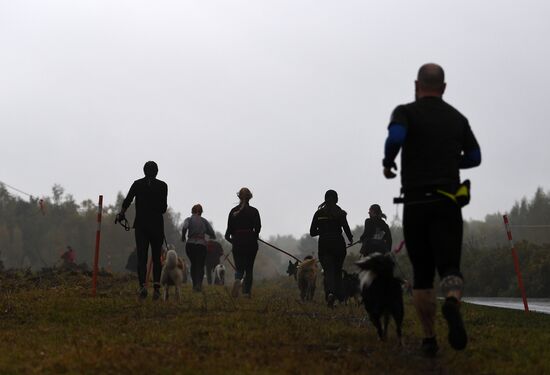 Russia Fast Dog Cross Country