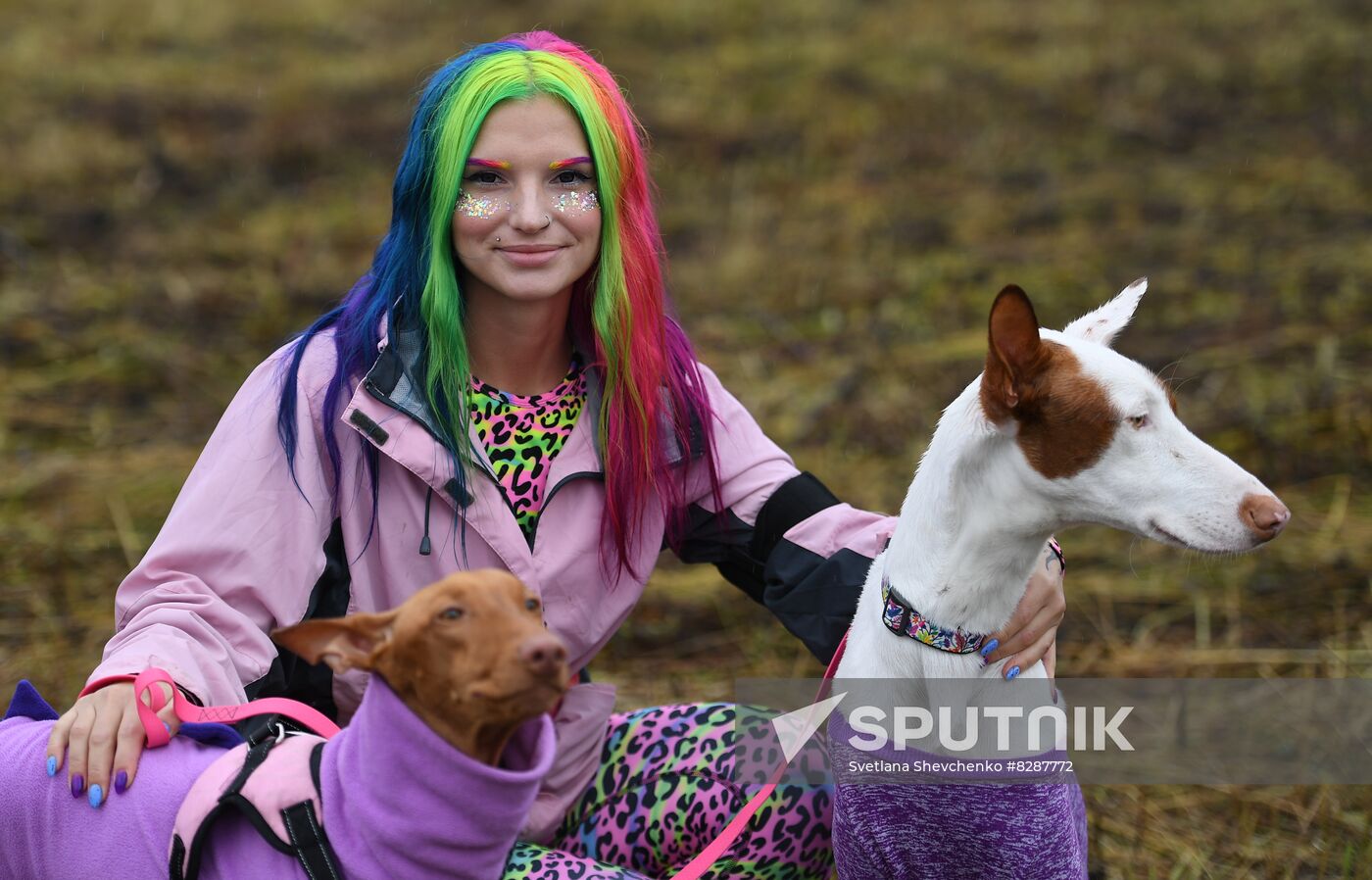 Russia Fast Dog Cross Country