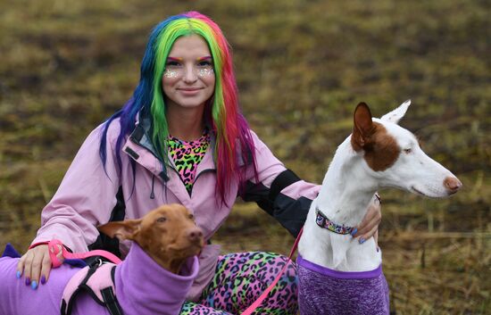 Russia Fast Dog Cross Country