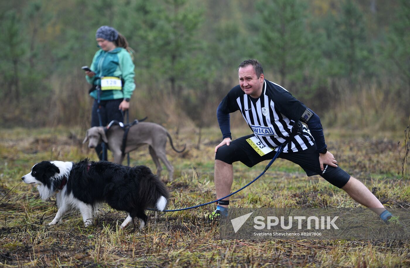 Russia Fast Dog Cross Country