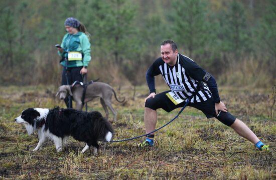 Russia Fast Dog Cross Country