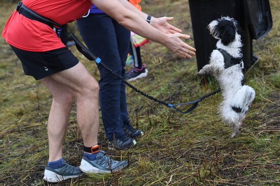 Russia Fast Dog Cross Country