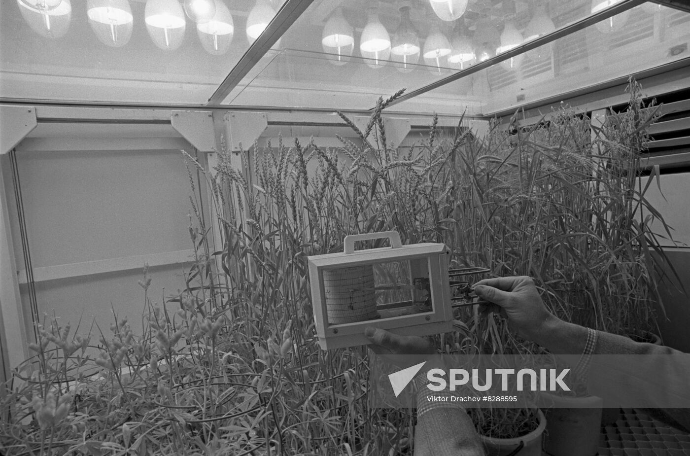 Belarusian Agriculture Research Institute
