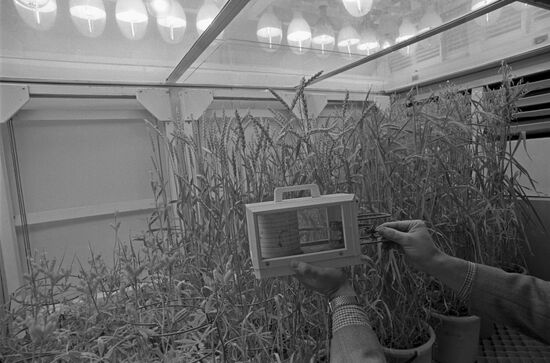 Belarusian Agriculture Research Institute