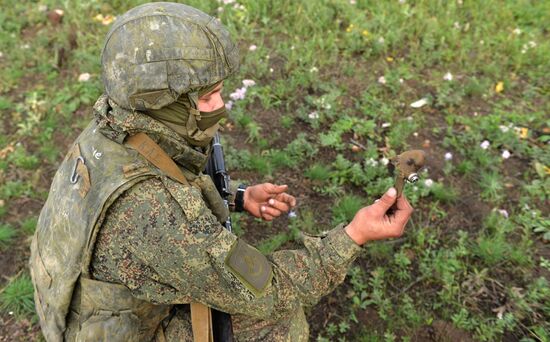 DPR LPR Russia Ukraine Military Operation