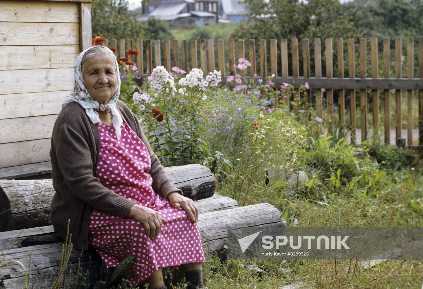 Vepsians in Arkhangelsk Region