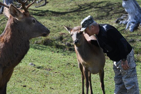 Russia Deer Farm