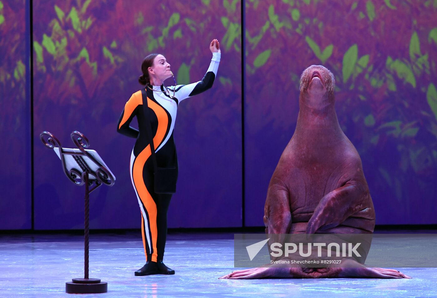 Russia Zoo Show