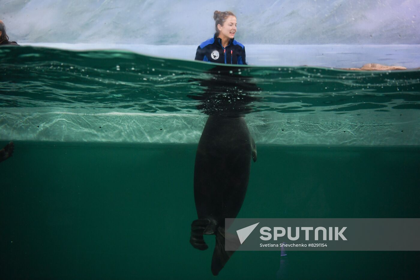 Russia Zoo Show