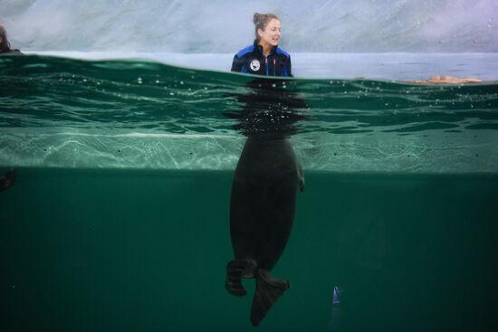 Russia Zoo Show