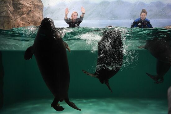 Russia Zoo Show