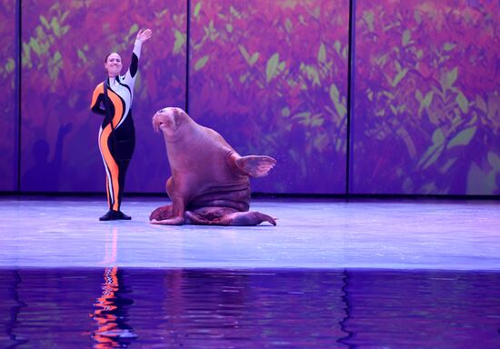 Russia Zoo Show