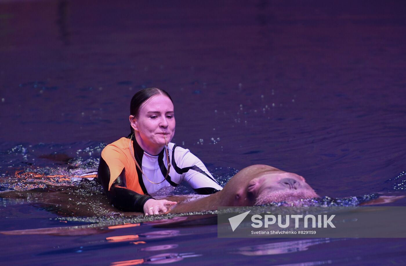 Russia Zoo Show