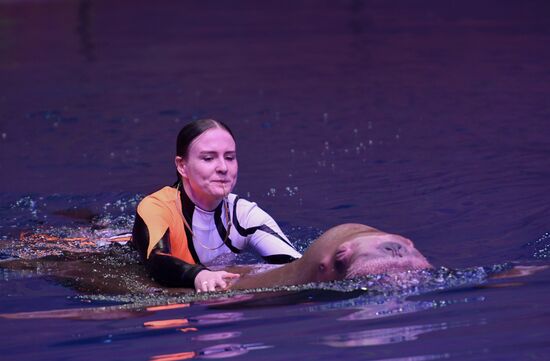 Russia Zoo Show