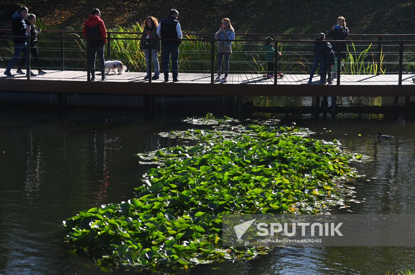 Donskoi Monastery Necropolis