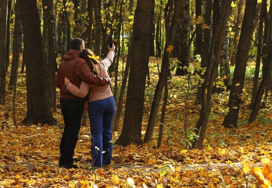 Autumn in Sokolniki park